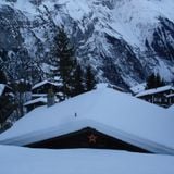 The Dreamland: it's Christmas time!