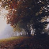 Sunday Morning Session (15.11.2015)