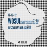 wosui live at Cannibal Radio dec2012
