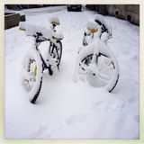 minus 6 degrees
