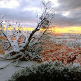 Winter Mix 2012