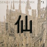 SENZU HYPERBOLIC MIX VOLUME °1 - WILL THE THIRD