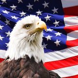 BXP Episode #6: Super Tuesday Preview (with Brittany Shulman)