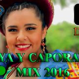 Saya y Caporales MIX 2016 - DJ Pipo