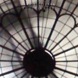 A Duck in a Tree 2016-01-16 | Breathing the Unconscious