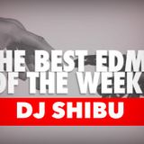 THE BEST EDM OF THE WEEK
