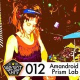 Split Mix For the WeGotThisCrew Mixtape Series - First half Amandroid, Second half Prism Lab