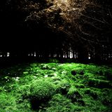 Deep Forest Vs Mike Oldfield