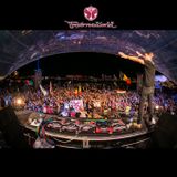 Regi - Live At Tomorrowworld 2015
