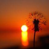 Summer Is Coming . . . 18.05.2014