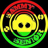Mi Sensi Mixtape
