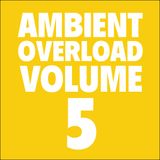 Ambient Overload Vol. 5