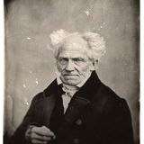 Vox Antiqua 113 - Artur Schopenhauer