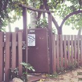 Indi(e)ferente Indie Mix January 2012