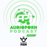 AudioPorn Records Podcast 009 - Hosted by Naked Fish