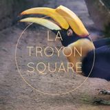 SquareTape#15 by Cordon Bleu - July 2014