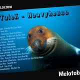 tulen - heavy house