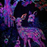 Freaky animal visions