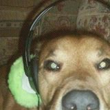 *Mix #1 (Progressive/ House/ Dirty Dutch)
