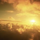 "Praise The Sun" dedicated to NICO