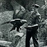 YUSA 311 Mar22 For the Boids ABM-GSI #1, Undersea 7-8, Fred Allen-Eagle