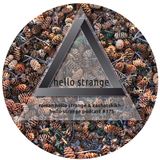 roman hello strange & kashatskikh - hello strange podcast #175