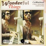 WONDER-ful Things