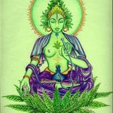 You Want To Be High For This♥ - Trippz |DUBSTEP Mixtape|