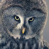 Robi Headman * White Light Mix.