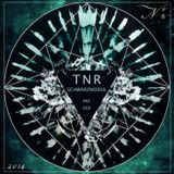 Schwarzmodul - TNR Mix 008