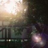 There's a Sun in Every Raindrop