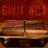 Ganja wild