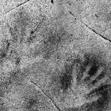 Hasta las Piedras Hablan: Barrios y Hatos de Puerto Rico