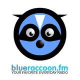 B. R. Funky Promo Mix - www.blueraccoon.fm