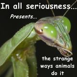Just like they do it on the Discovery Channel...