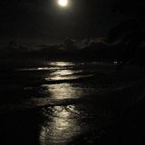 moonlight sonata 008