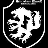 Radio Wehrwolf: BHM 2