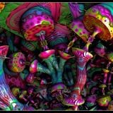 $quashi-Xma$_Specticle$__Part2