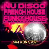 Nu-Disco, French House, Funky House