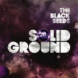 P#26 The Black Seeds, Best 7 Selection 3, Recloose, Quasimode