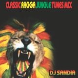 Classic Ragga Jungle Mix 2013