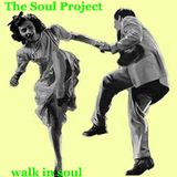 Walk in s0ul
