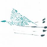 Klankschap Label Focus : Dauw - A Reflecting Concoction Of Afternight Particles