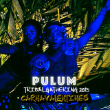 Tribal Gathering 2015 - Carnavalentines