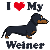 I Swear This Podcast Contains No Weiner Jokes