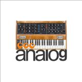 analog