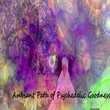Ambiant Path of Psychedelic Goodness