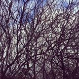 What Is Soul #14