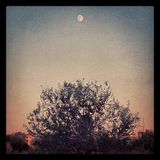progressive september