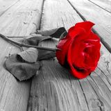 minute's silence